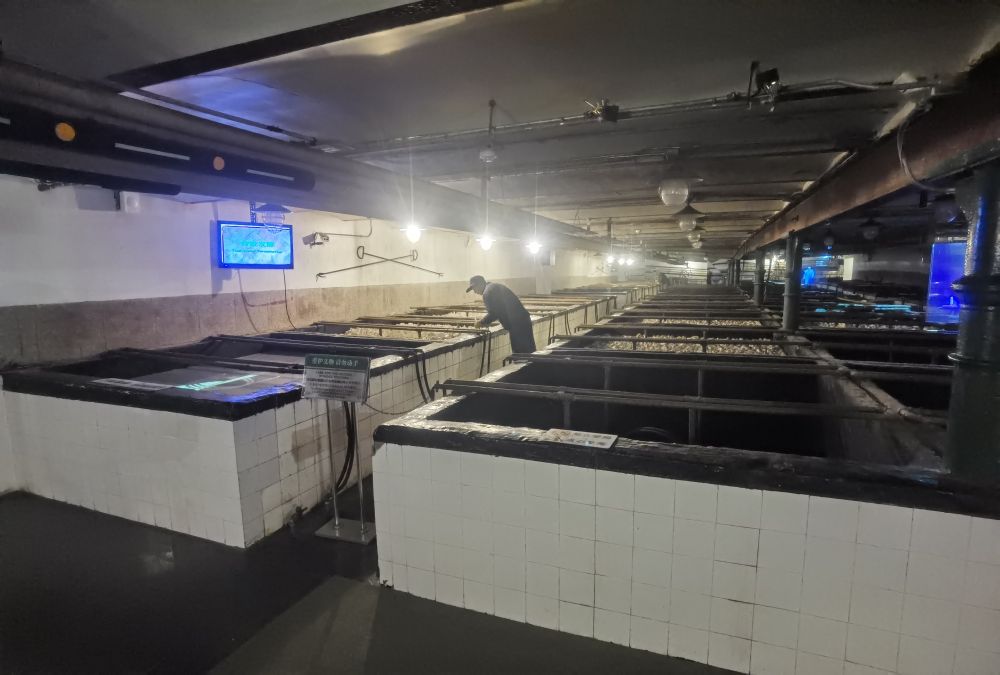 打卡工业遗存，在青岛啤酒​博物馆里品百年啤酒味道
