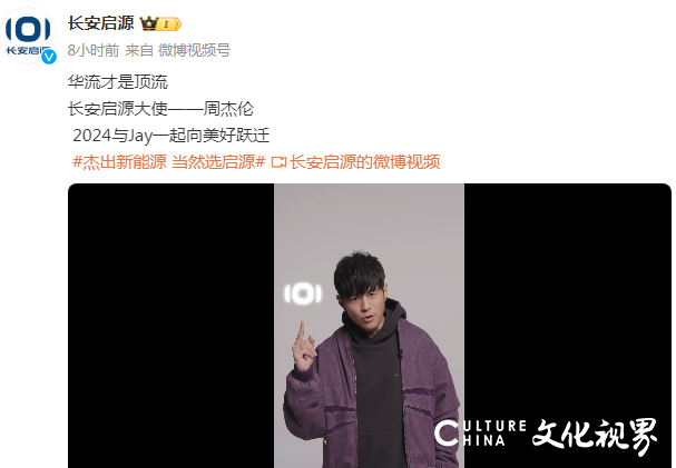几家欢喜几家愁，新能源车销量年度成绩单来了
