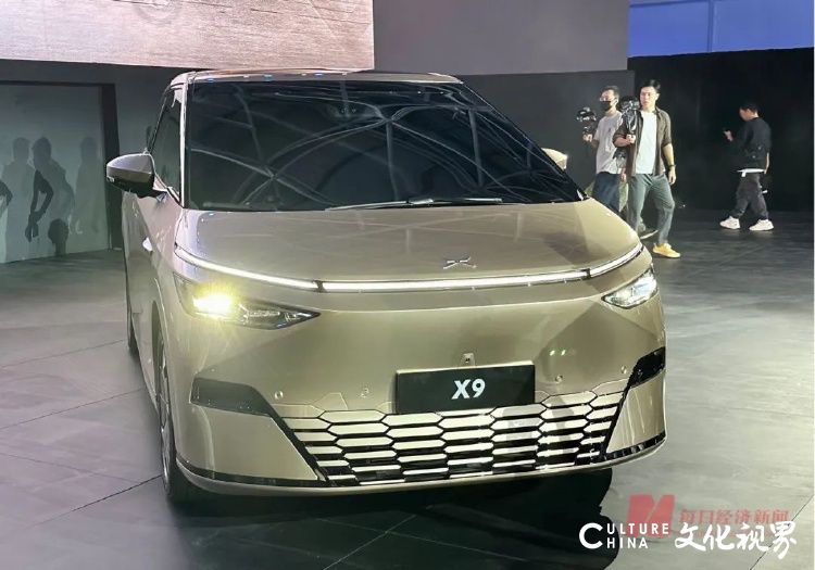 几家欢喜几家愁，新能源车销量年度成绩单来了