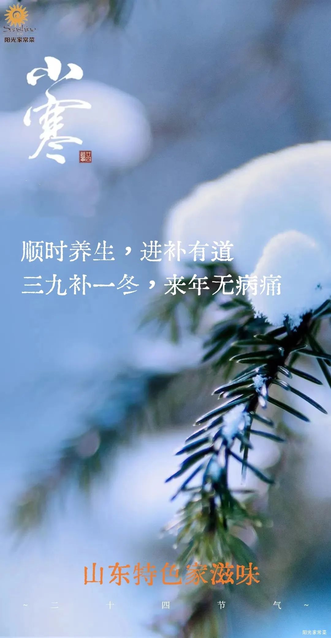 今日小寒，阳光家常菜奉上美食与养生之道