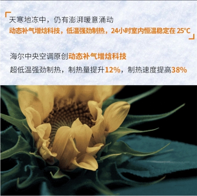向阳花海 逆冬盛放——海尔中央空调在西藏·林芝-25℃冰原邀你见证冬日“最向往的温暖”