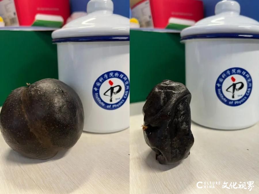 “南方小土豆”们想用冰箱自制“尔滨”冻梨？科学实验告诉你“把梨放在冷冻层，然后…...忘掉它吧！”