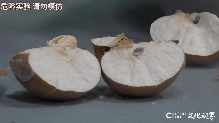 “南方小土豆”们想用冰箱自制“尔滨”冻梨？科学实验告诉你“把梨放在冷冻层，然后…...忘掉它吧！”