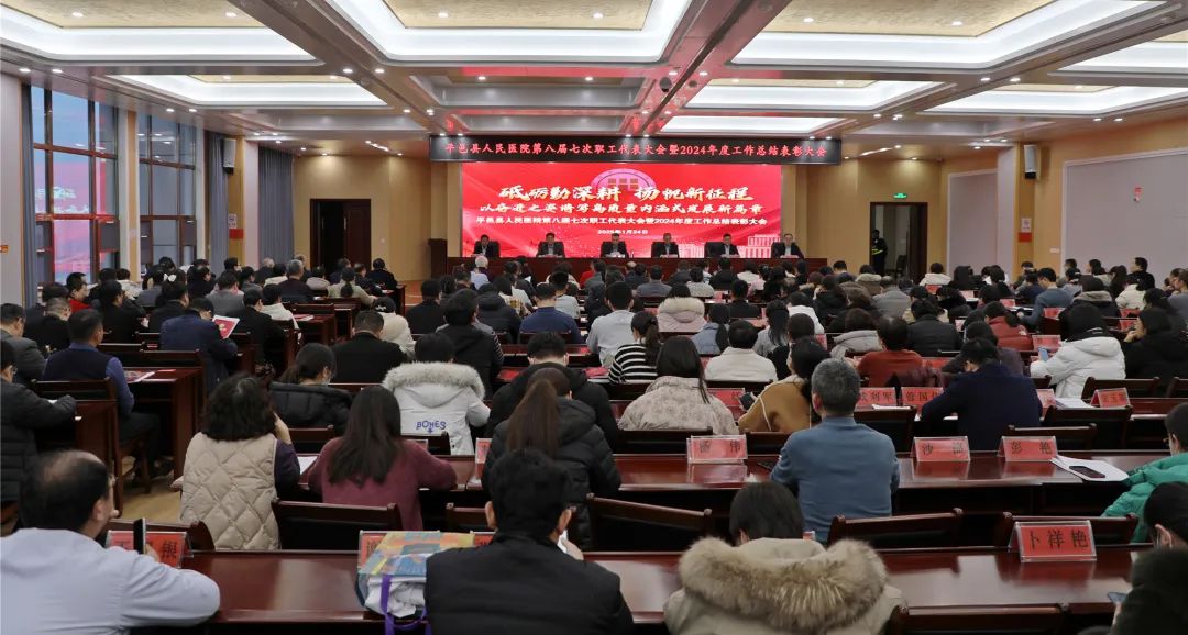 实干担当起胜势 铆足干劲再出发——临沂市平邑县人民医院召开第八届第七次职工代表大会暨2024年度工作总结表彰大会