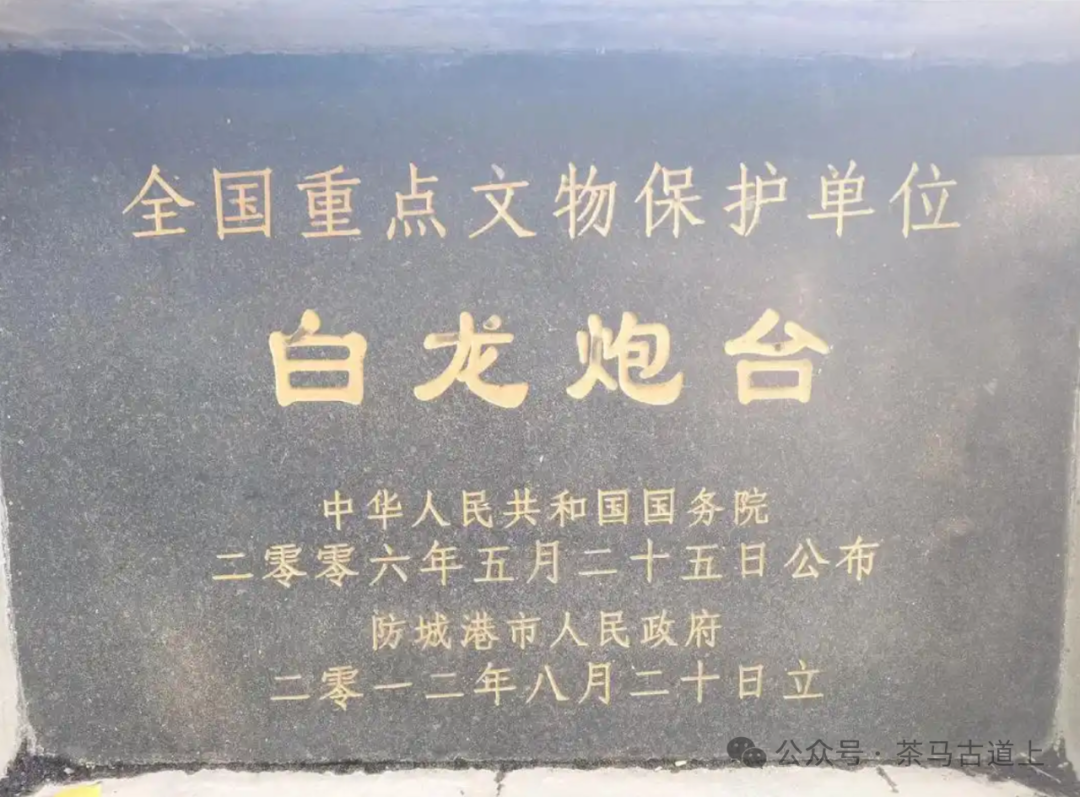 马悦英 | 御敌的炮台