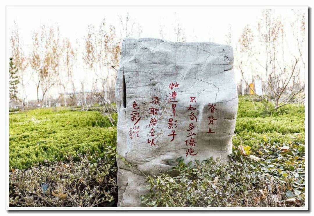 桑恒昌·诗苑丨走进德州武城这座诗歌园地，感受诗书碑石一体的独特韵味
