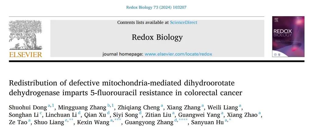 山东大学齐鲁医院胡三元教授团队在结直肠癌耐药领域取得突破