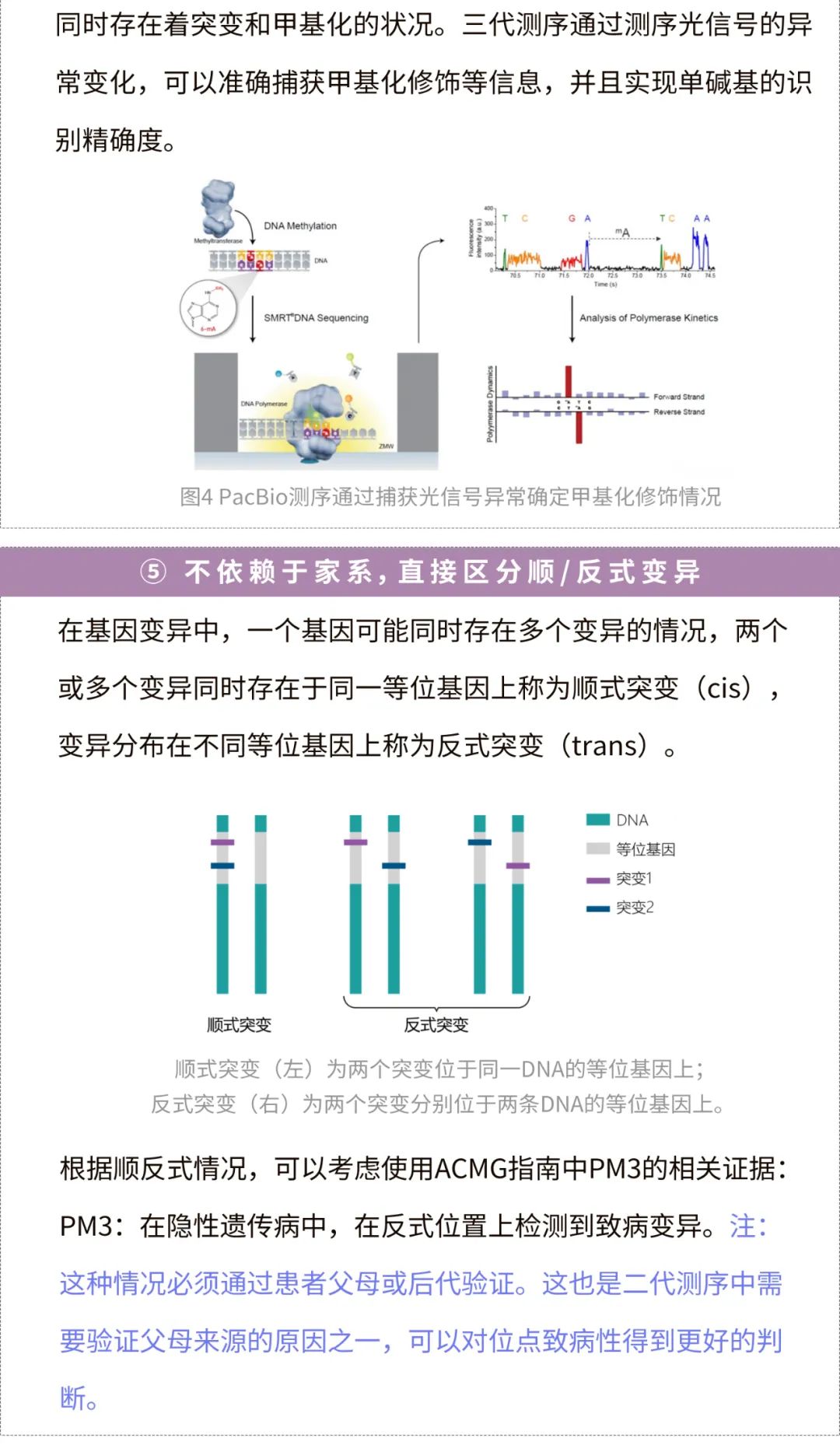 单基因遗传病患者的利好消息——银丰基因三代全基因组检测上线了！