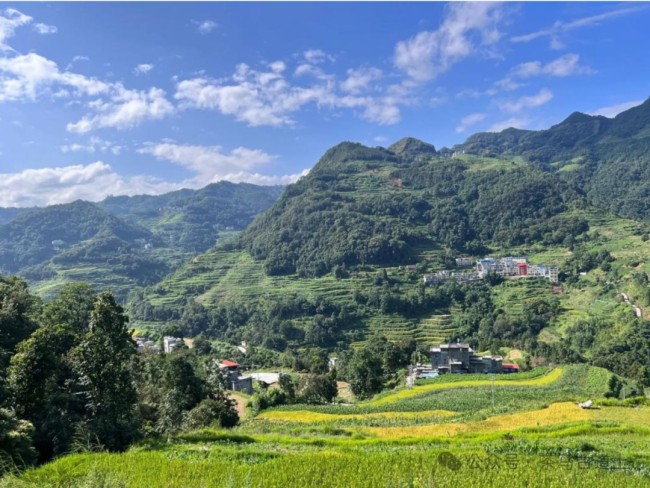 在广西民族博物馆，和舒建新一起感受千年铜鼓文化焕发的生机与活力