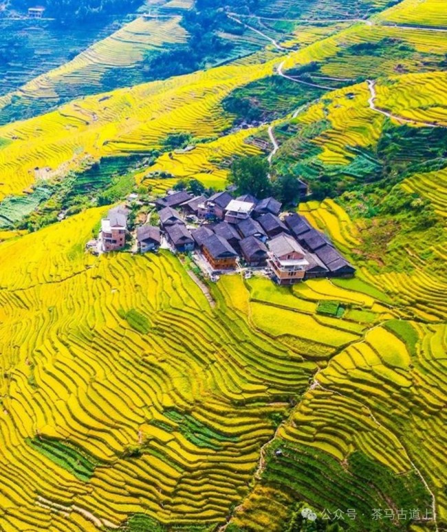 在广西民族博物馆，和舒建新一起感受千年铜鼓文化焕发的生机与活力