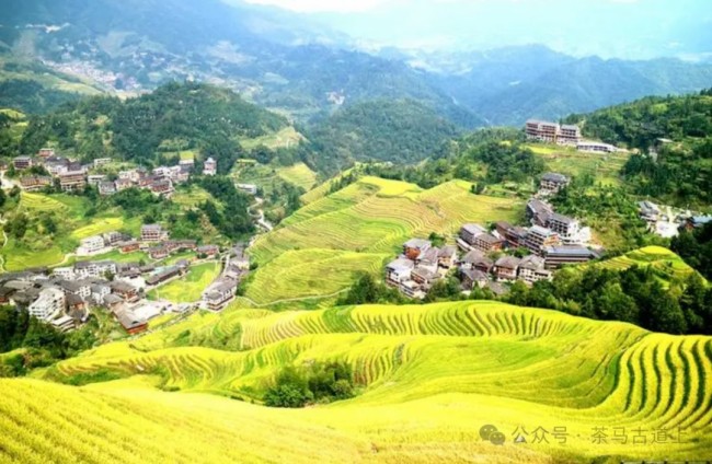在广西民族博物馆，和舒建新一起感受千年铜鼓文化焕发的生机与活力