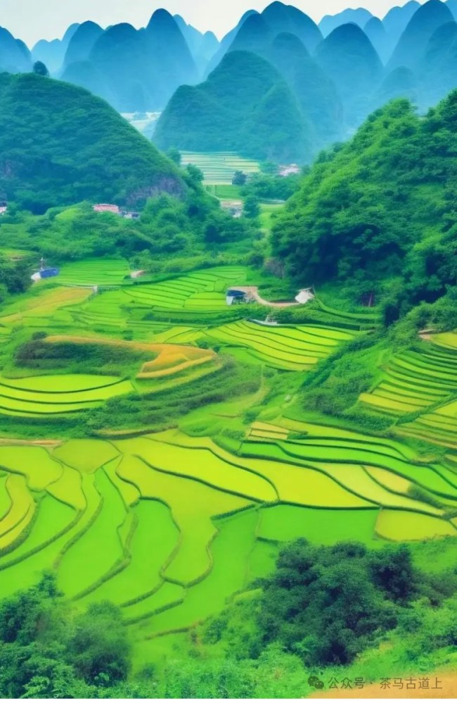 在广西民族博物馆，和舒建新一起感受千年铜鼓文化焕发的生机与活力