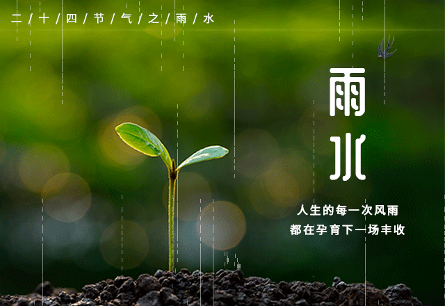 “天街小雨润如酥”，济南泉美阳光家常菜为您奉上“早春养生美食攻略”