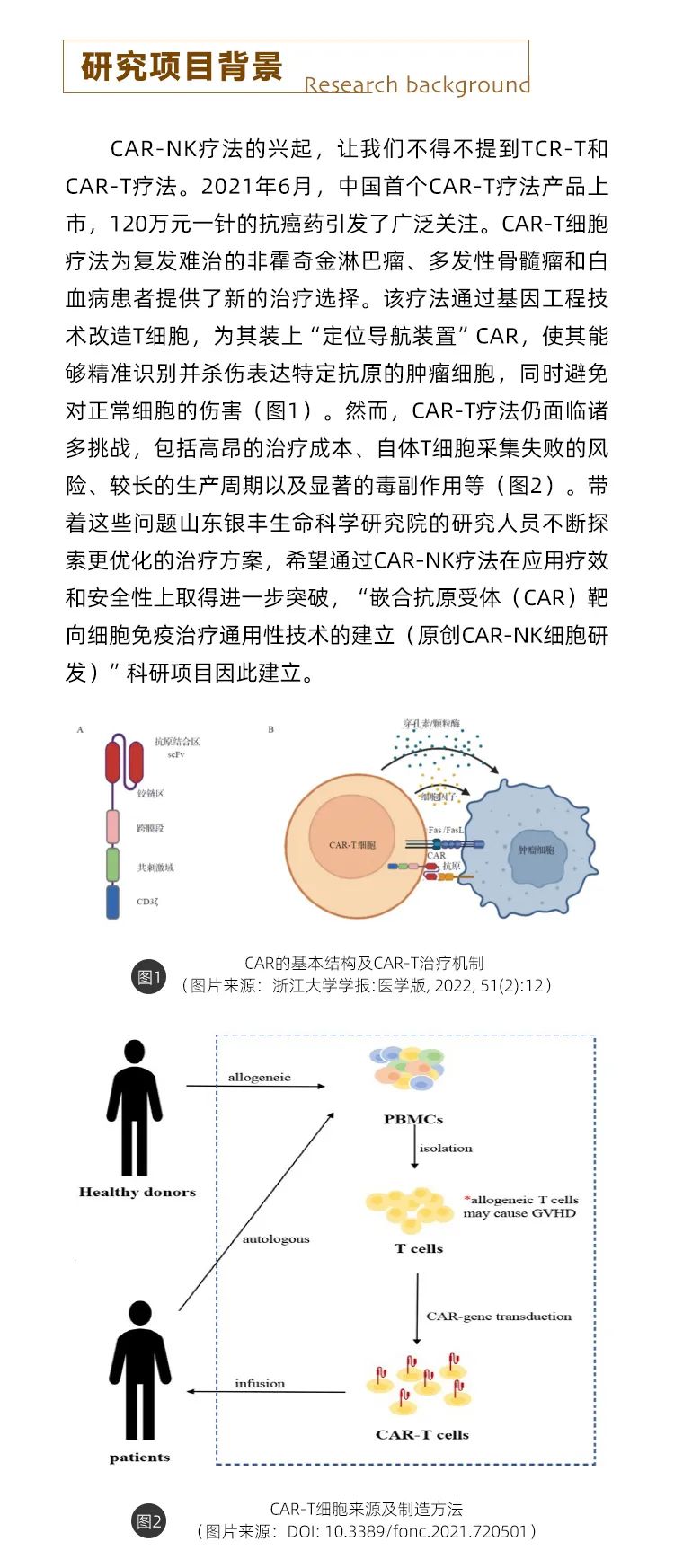 银丰生物car-nk疗法：探索实体瘤细胞疗法，收获阶段性科研成果