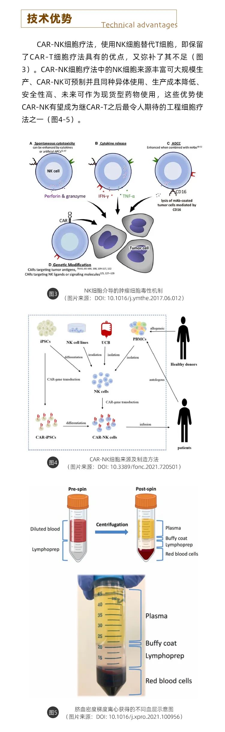 银丰生物car-nk疗法：探索实体瘤细胞疗法，收获阶段性科研成果