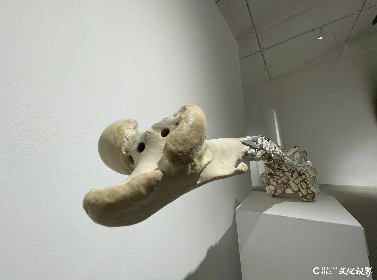 孟胡蝶·在“找碴对缝”中重构完整丨中国当代陶瓷名家邀请展暨首届中国·宋庄陶瓷协会作品展