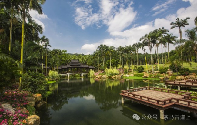 游览南宁青秀山，和舒建新一起到观音禅寺感受佛教历史和文化