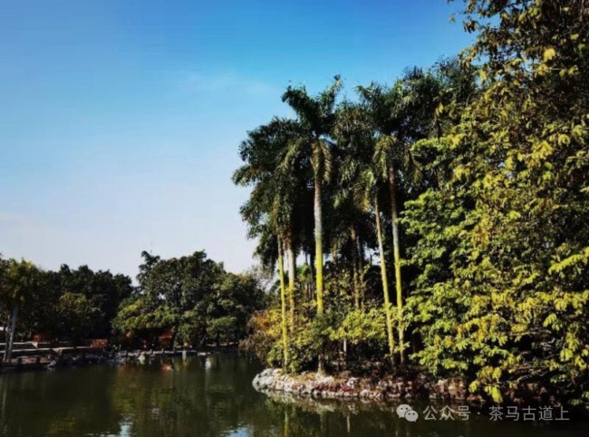 游览南宁青秀山，和舒建新一起到观音禅寺感受佛教历史和文化