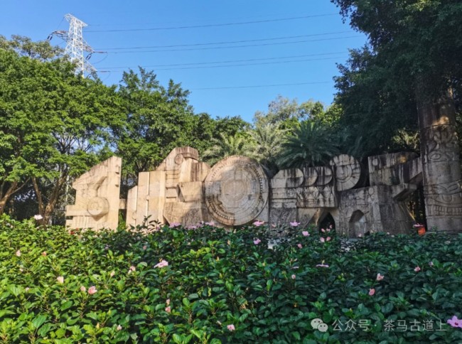 游览南宁青秀山，和舒建新一起到观音禅寺感受佛教历史和文化