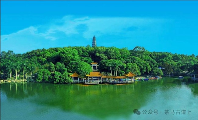游览南宁青秀山，和舒建新一起到观音禅寺感受佛教历史和文化