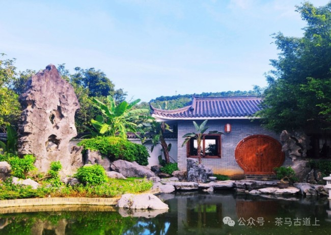 游览南宁青秀山，和舒建新一起到观音禅寺感受佛教历史和文化