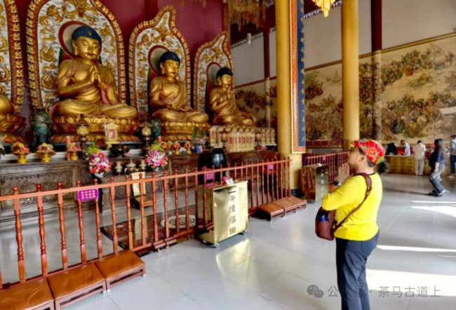 游览南宁青秀山，和舒建新一起到观音禅寺感受佛教历史和文化