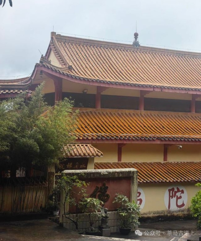 游览南宁青秀山，和舒建新一起到观音禅寺感受佛教历史和文化