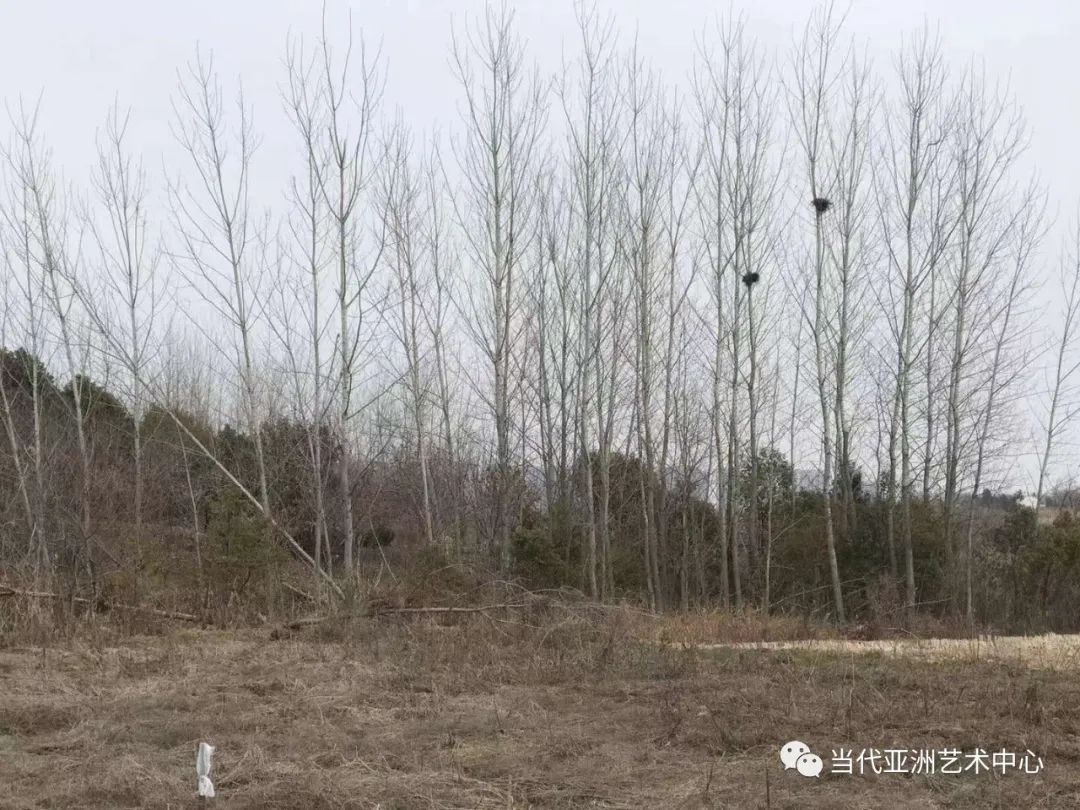 天人合一，道法自然——专访“24节气时空泼墨计划”的创作者著名艺术家赵无眠