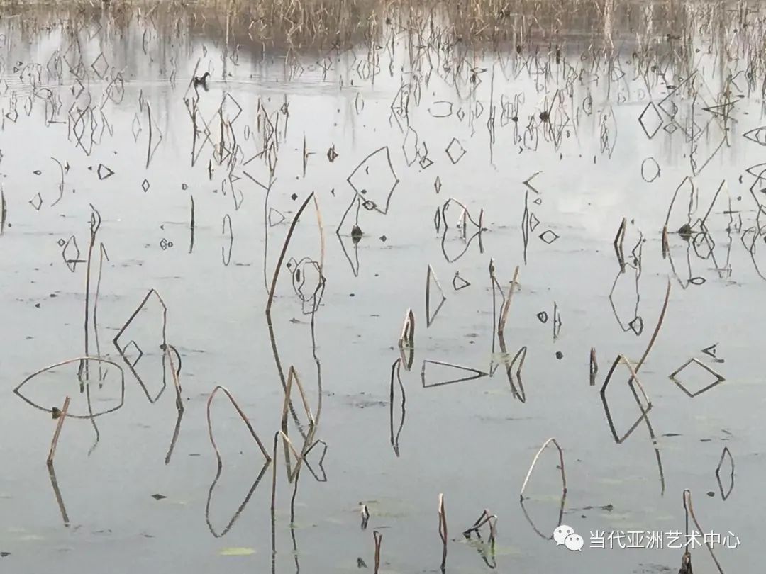 天人合一，道法自然——专访“24节气时空泼墨计划”的创作者著名艺术家赵无眠