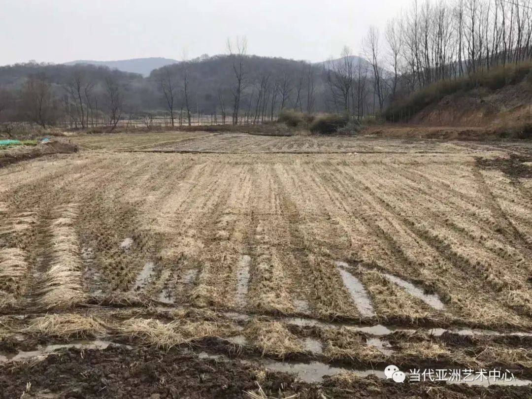 天人合一，道法自然——专访“24节气时空泼墨计划”的创作者著名艺术家赵无眠
