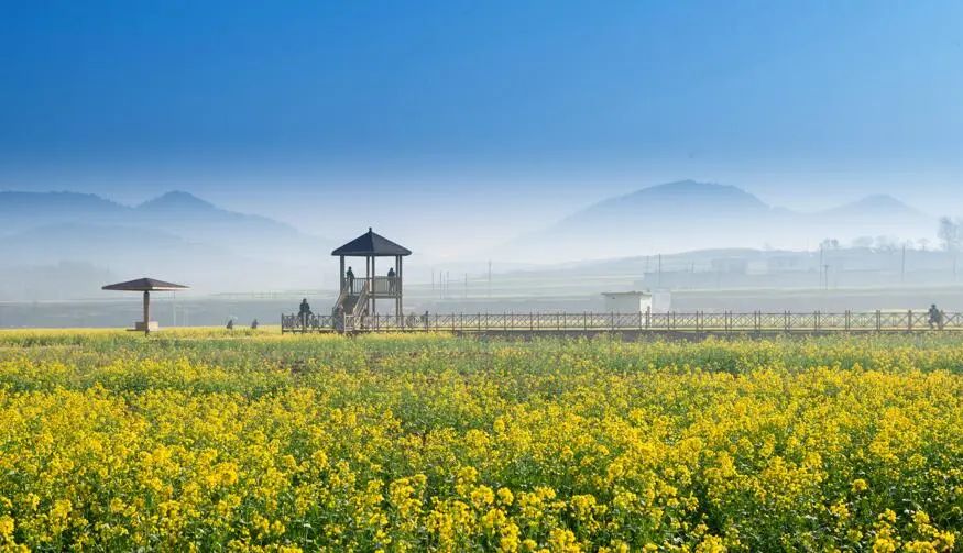 四面云山，泉水淙淙，美食遍地......来双泉镇吧，这座济南长清的“江北小婺源”