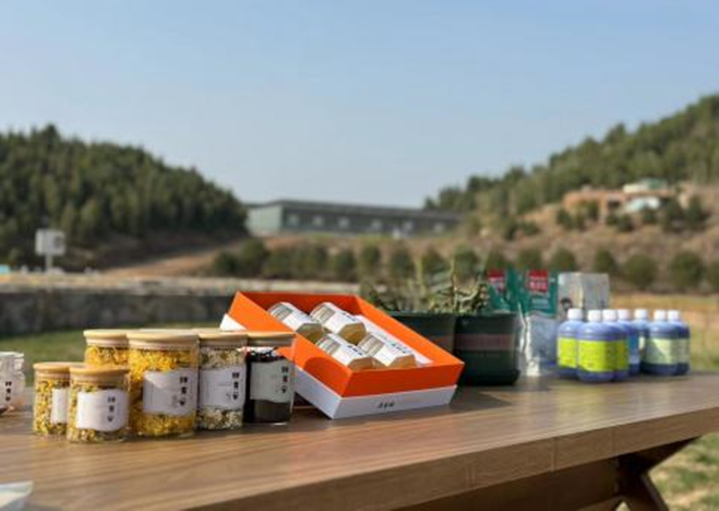 四面云山，泉水淙淙，美食遍地......来双泉镇吧，这座济南长清的“江北小婺源”