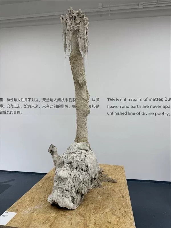 重新定义艺术以及我们与文明的关系丨吴啸海个展“诺斯托伊”在北京开展，展期至3月23日