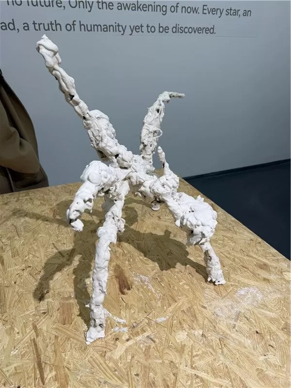 重新定义艺术以及我们与文明的关系丨吴啸海个展“诺斯托伊”在北京开展，展期至3月23日