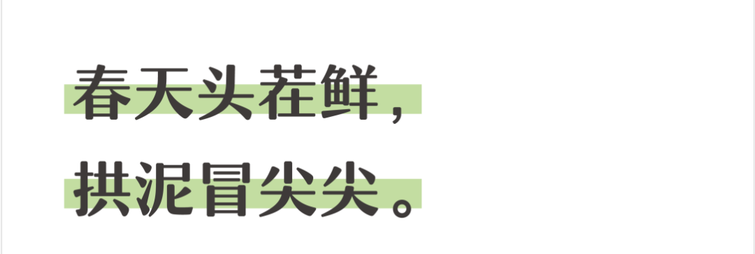 济南阳光家常菜：寻找春日好食材  研发新品做好饭