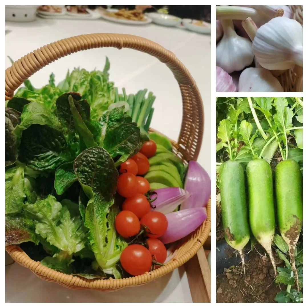 济南阳光家常菜：寻找春日好食材  研发新品做好饭