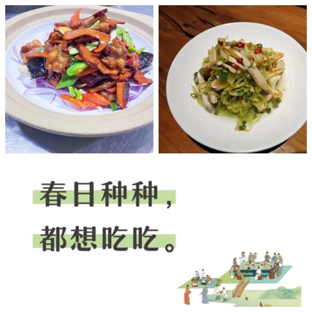济南阳光家常菜：寻找春日好食材  研发新品做好饭