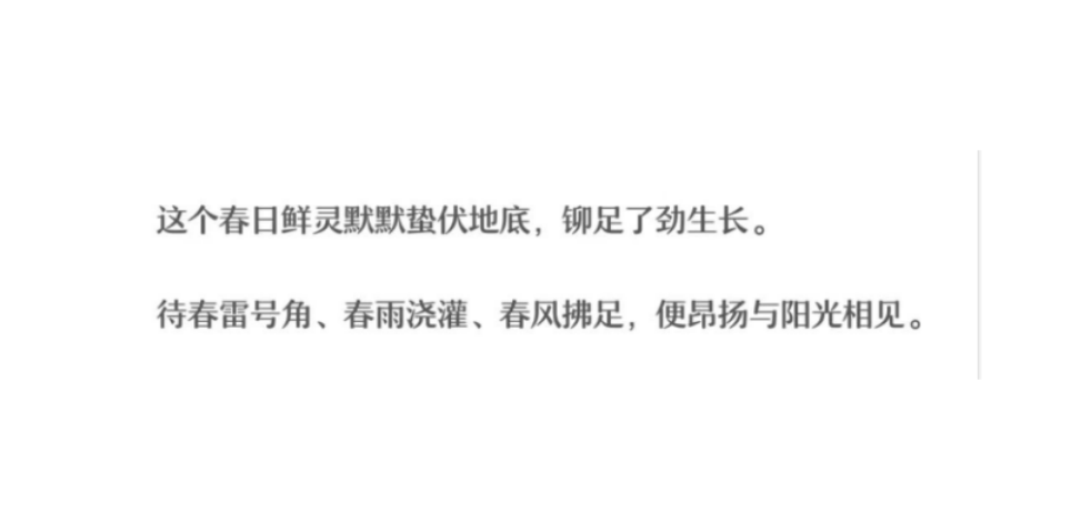 济南阳光家常菜：寻找春日好食材  研发新品做好饭