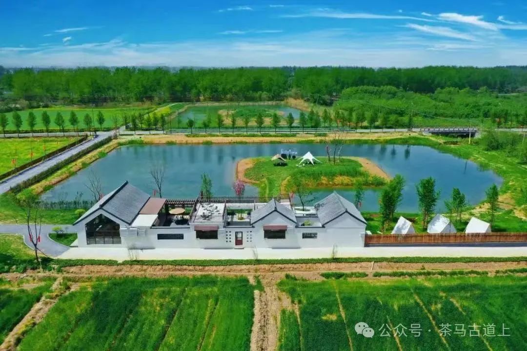 舒建新丨于繁花深处遇见麦田书屋，阅享城乡新生活