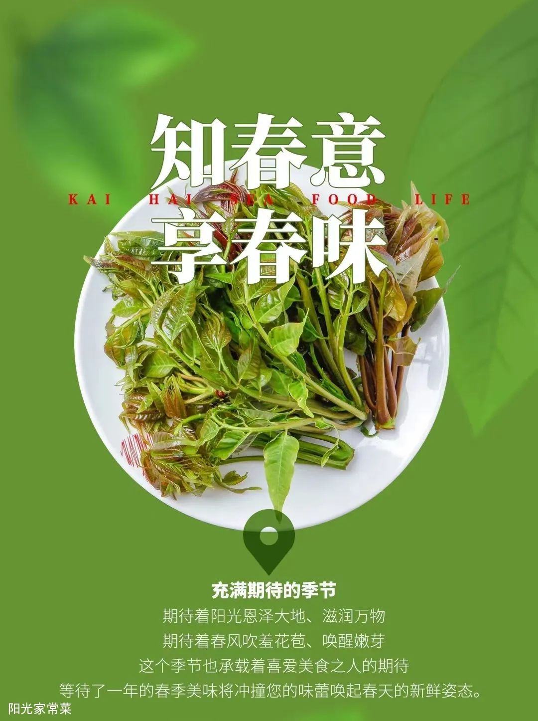 来济南阳光家常菜，品味舌尖上的春意盎然！