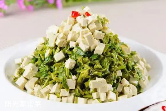 来济南阳光家常菜，品味舌尖上的春意盎然！