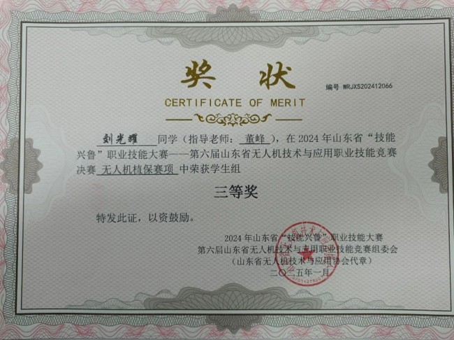 山东文化产业职业学院师生在2024年山东省“技能兴鲁”职业技能大赛中斩获佳绩