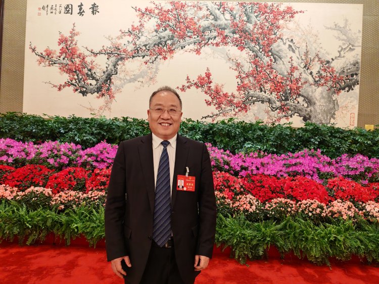 两会声音 | 全国人大代表、康桥律所首席合伙人张巧良：ai时代应加强中小学逻辑思维教育