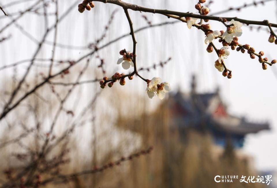 本周末北方按下“回暖”键进入升温“快车道”，华北等地或暖如常年4月