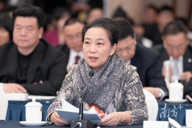 两会声音丨全国人大代表、中国美协副主席林蓝：推进公共文化服务设施均等化