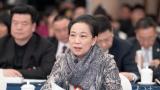两会声音丨全国人大代表、中国美协副主席林蓝：推进公共文化服务设施均等化