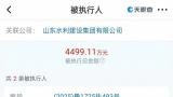 山东水利建设集团成被执行人，执行标的超4000万元