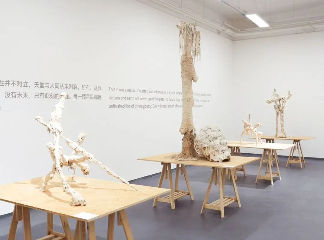吴啸海个展“诺斯托依”：人看到什么，是谁决定的？