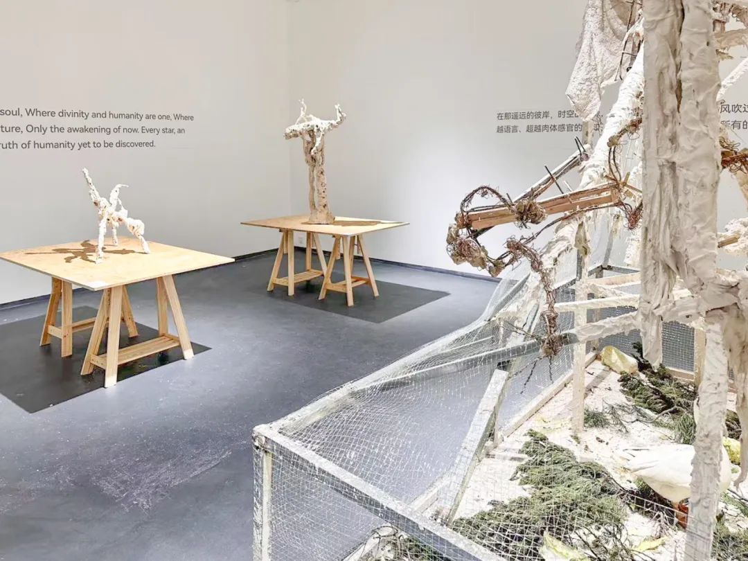 吴啸海个展“诺斯托依”：人看到什么，是谁决定的？