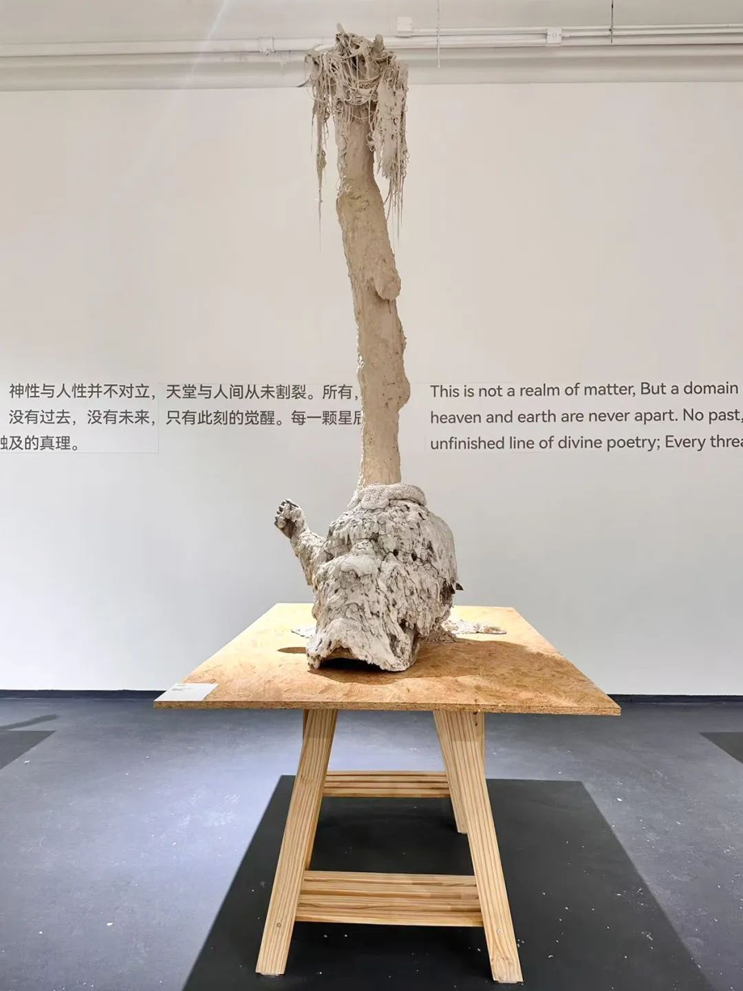 吴啸海个展“诺斯托依”：人看到什么，是谁决定的？